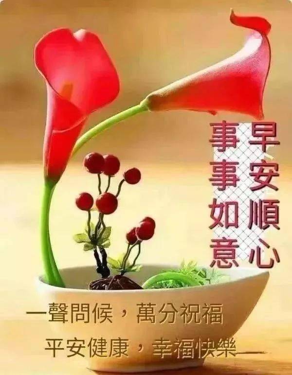 群发早安愉快动态祝福图片鲜花带字早安问候语温馨短句动态表情图片