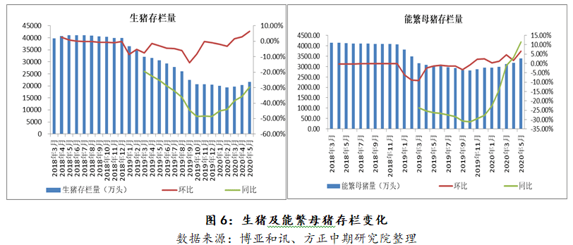 文明6开拓者不算人口_文明礼仪手抄报