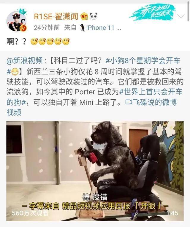 aac2d91aa8e04f56b60333bbc24cd75a.jpeg