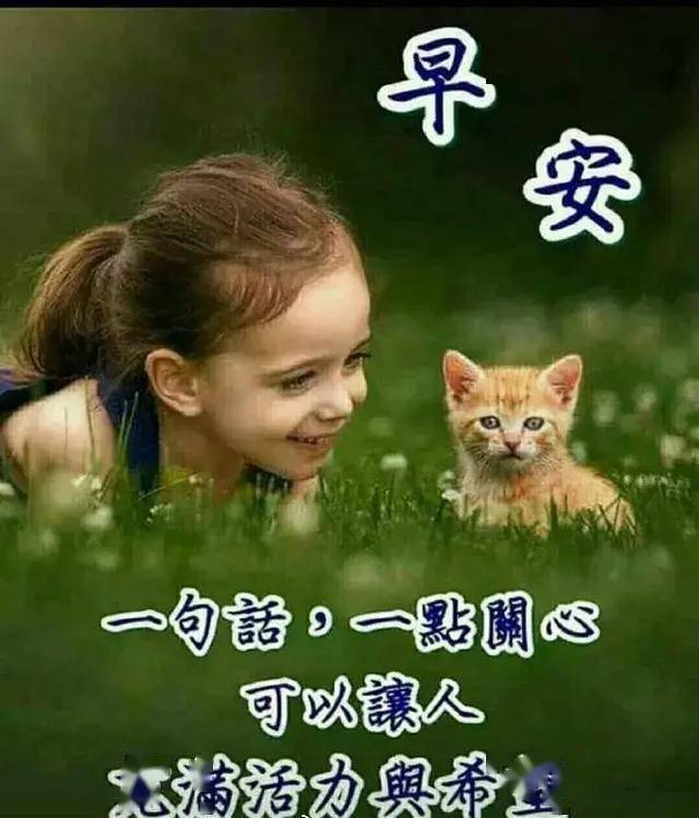 c008f341ceba4ebe9958937d66355114.jpeg