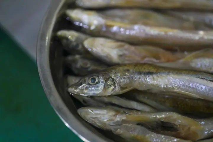 从果腹到美食 夹一筷棍子鱼尝一口变迁味道