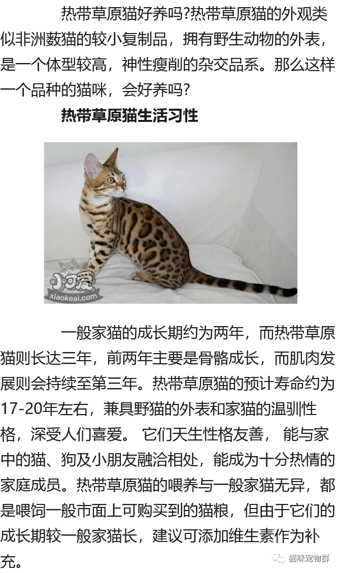 fc1f1c52dfeb4834ad5b4191986881d5.png