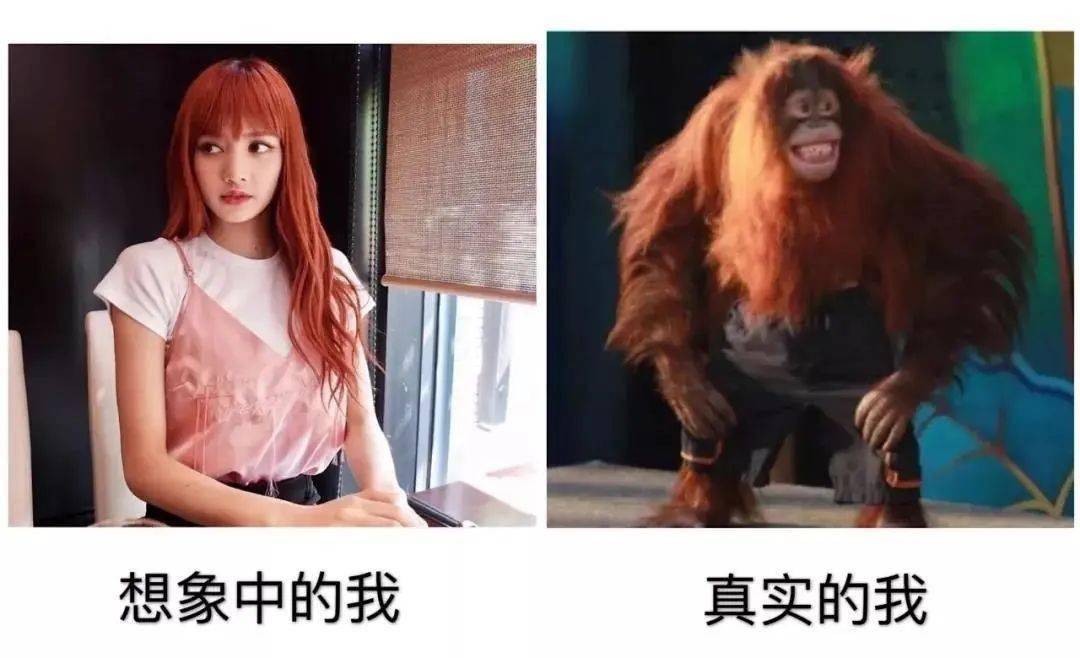 李佳琦推荐的脱发克星!一次就能拯救头屑头痒头油,用了它头发都会跳舞!