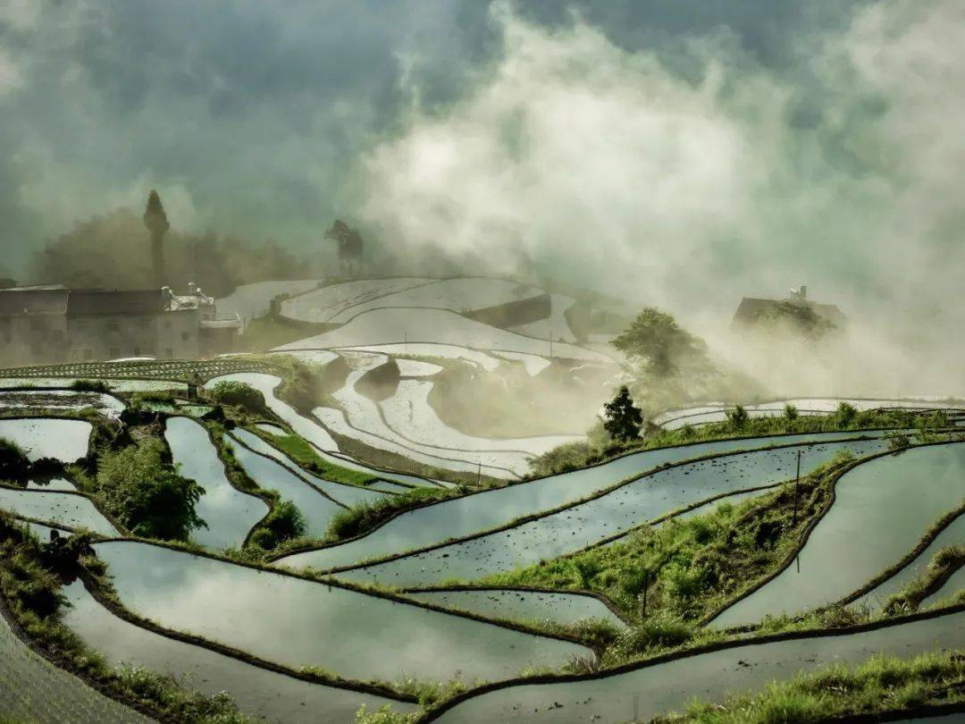 美轮美奂的北山村梯田,弯弯曲曲的山路,大小不一的梯田,已经蓄水