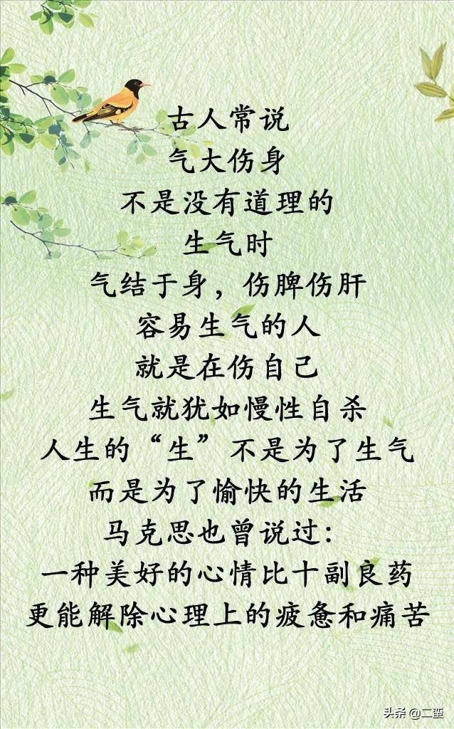 将军有剑不斩苍蝇