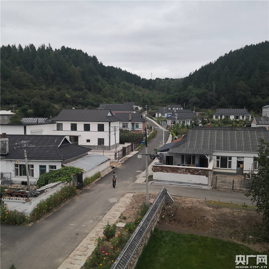 吉林省延边朝鲜族自治州安图县石门镇茶条村(央广网记者 刘源源 摄)