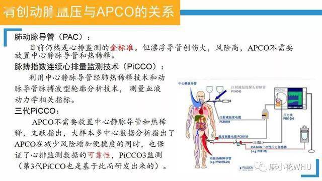 测量动脉血压的原理是什么_肱动脉测量血压图片