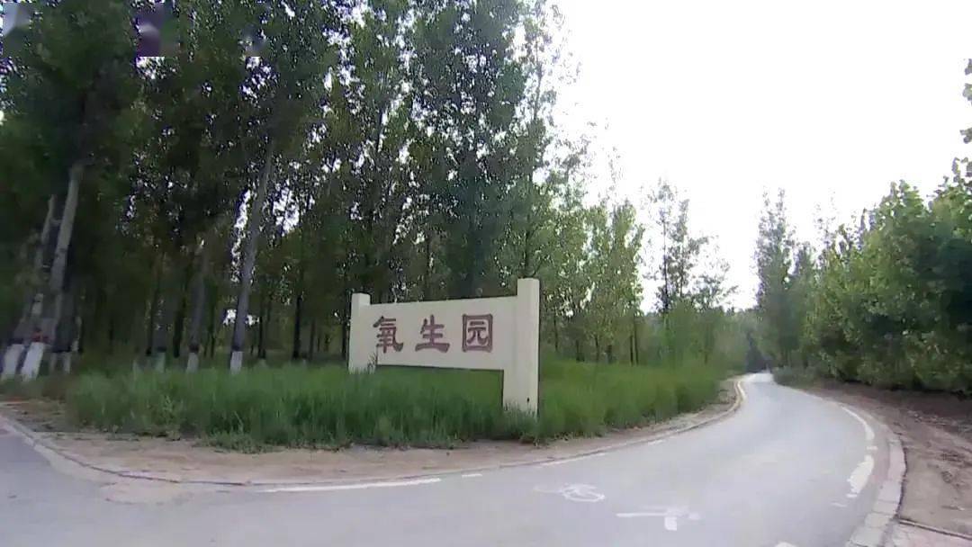 沧州东光:全力打造大运河岸畔生态名镇