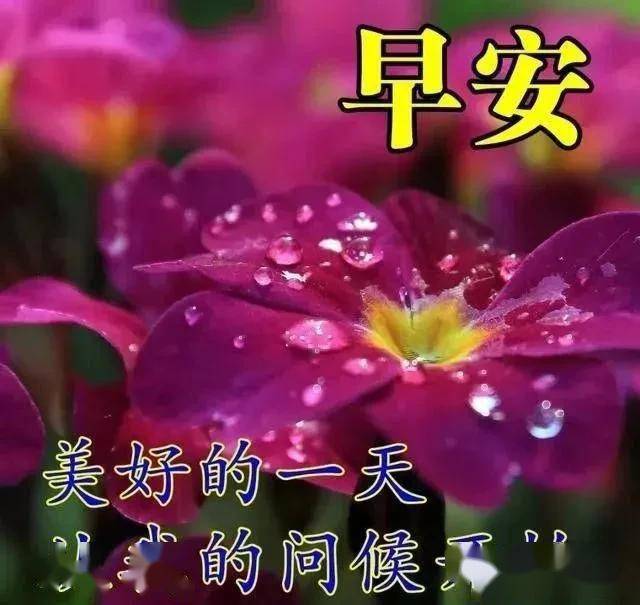 人生哪有那么复杂 8aed4a56bfe24572b252148e8fcdcd37.jpeg