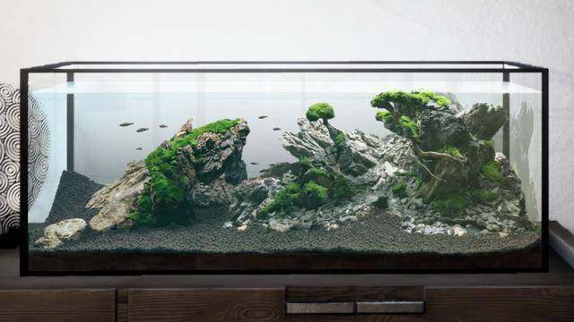 《模拟水族造景》上架Steam打造你的梦幻水族馆