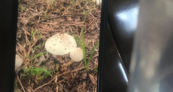 广东|135人发病，3人死亡！多地疾控紧急提醒