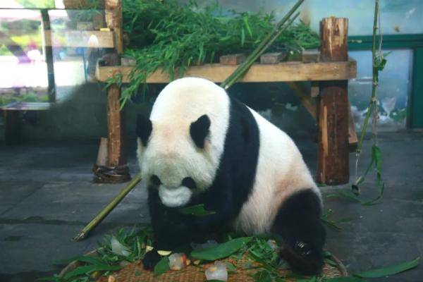 无锡|“缘大”回川，等你回来！