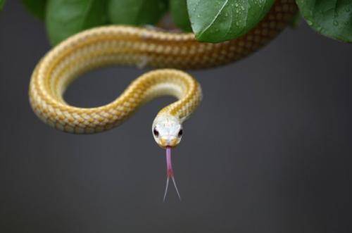 b2221473831d410d9e09abaea662f883.jpeg