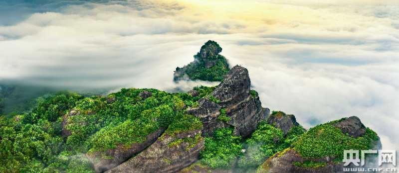 活动|广东启动第二届穿越北回归线风景带活动