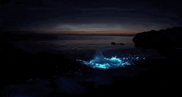 在黑夜中蓝光四溅,海浪翻腾,若是运气好,还能在凉峙沙滩一睹荧光海的