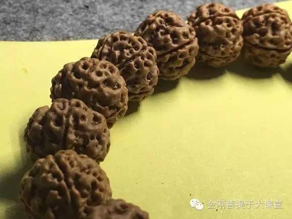 金刚菩提盘玩要点汇总，一文知道怎么玩金刚！