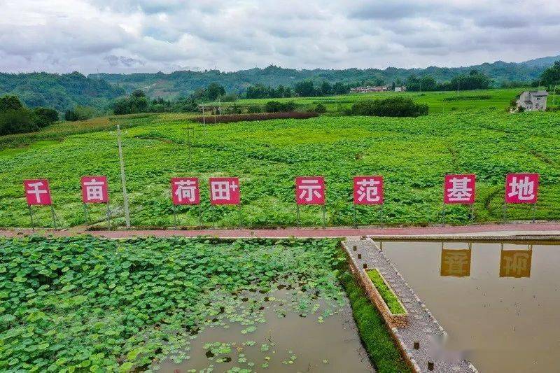 天全县有多少人口(2)