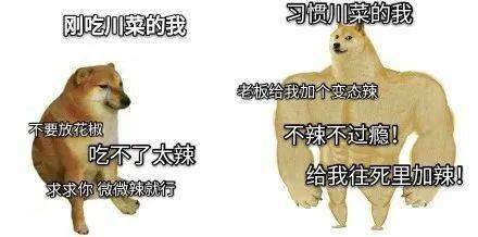 肌肉犬和小废狗对比合集,个个都是真实的你!