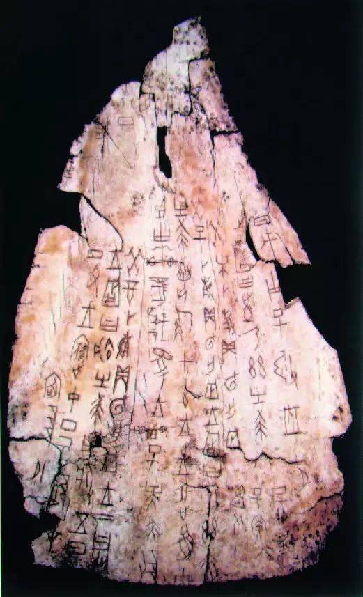 中国美術 古美術 石化鹿角 刻文字 古代 甲骨 殷 希少(K-YC685) 殷商甲骨文】目前可知的最早的书法作品_搜狐网