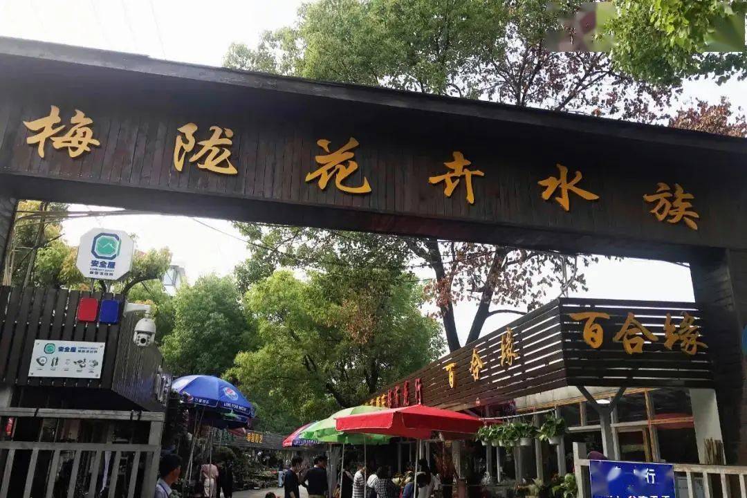 2020上海花鸟市场地图有你去过的吗