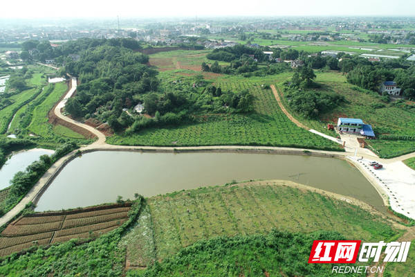 日子越过越红火|湘阴湖湾村:乡贤乡友出把力 菜地小院