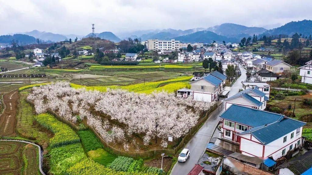 来央视热播《花繁叶茂》拍摄地遵义花茂村避暑,包吃住