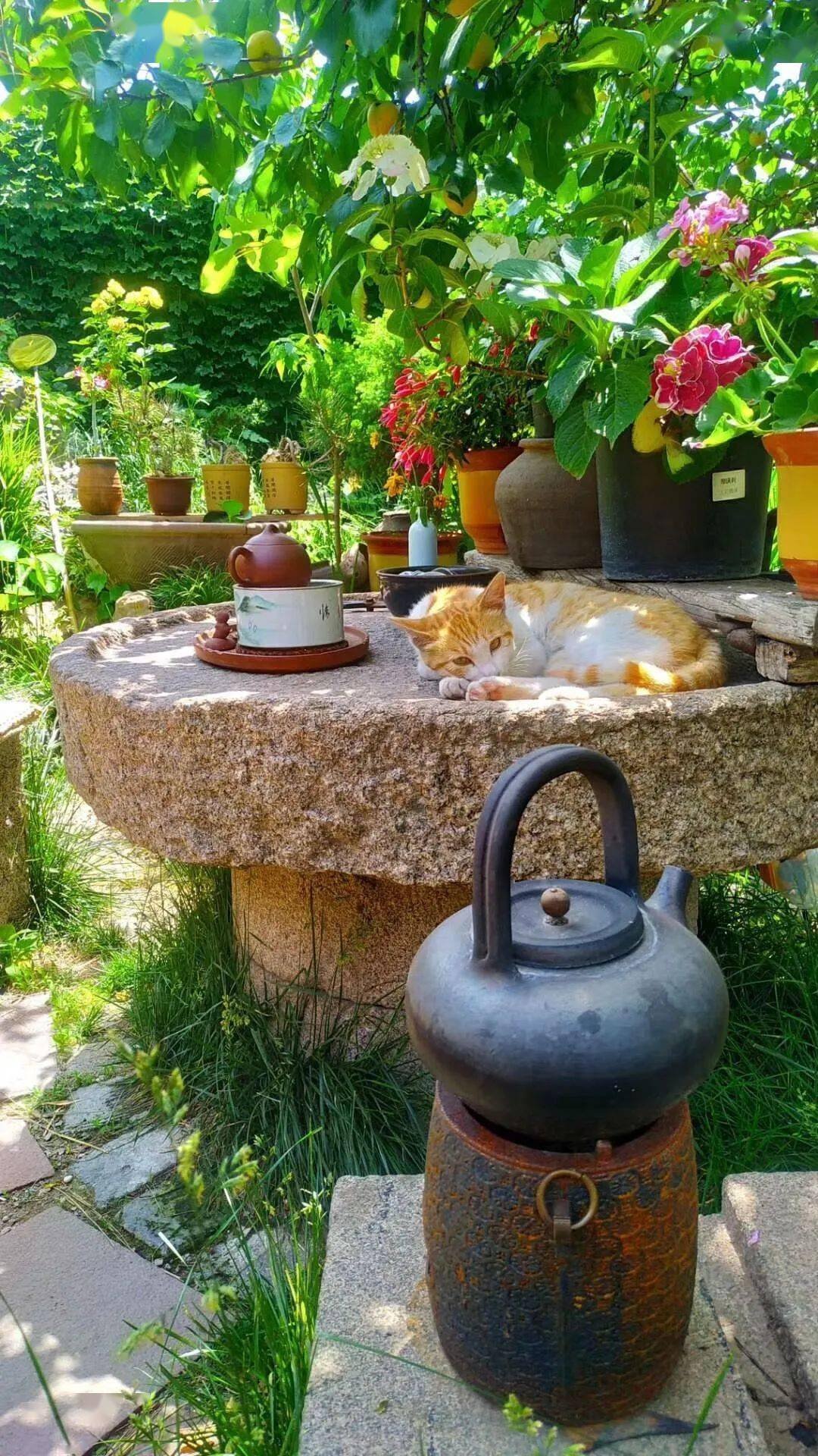 麒麟兽,或是其他寓意吉祥的物件, 看家护院,增益风水, 收藏一方石缸