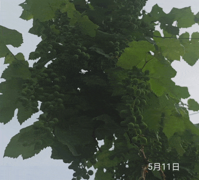 640_581