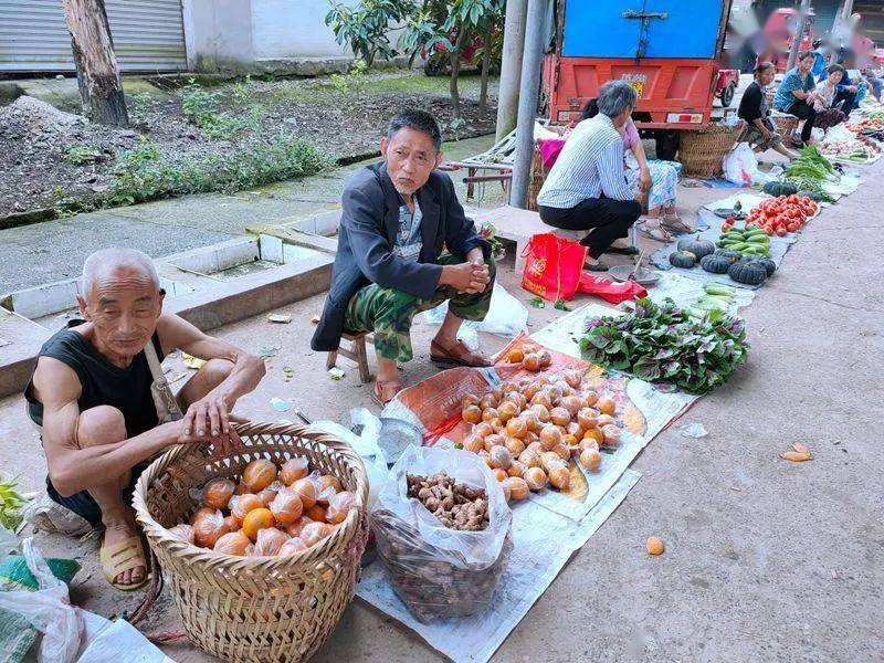 南充永安镇多少人口_南充各县人口