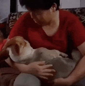 爷爷奶奶在带小孩这方面和父母有着不一样的差别,这一点在狗狗身上