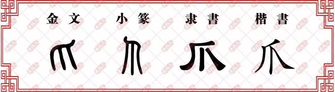 【双法字理】爪:伶牙利爪