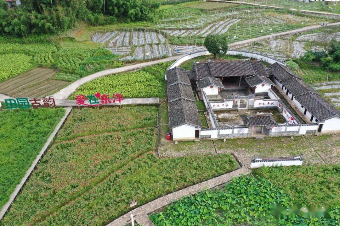 【省级乡村试点村(五 漳平市双洋镇东洋村:活化传统村落 助推乡村