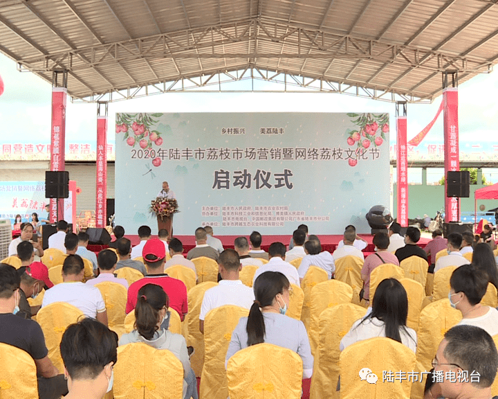 陆丰市举办2020年荔枝市场营销暨网络荔枝文化节