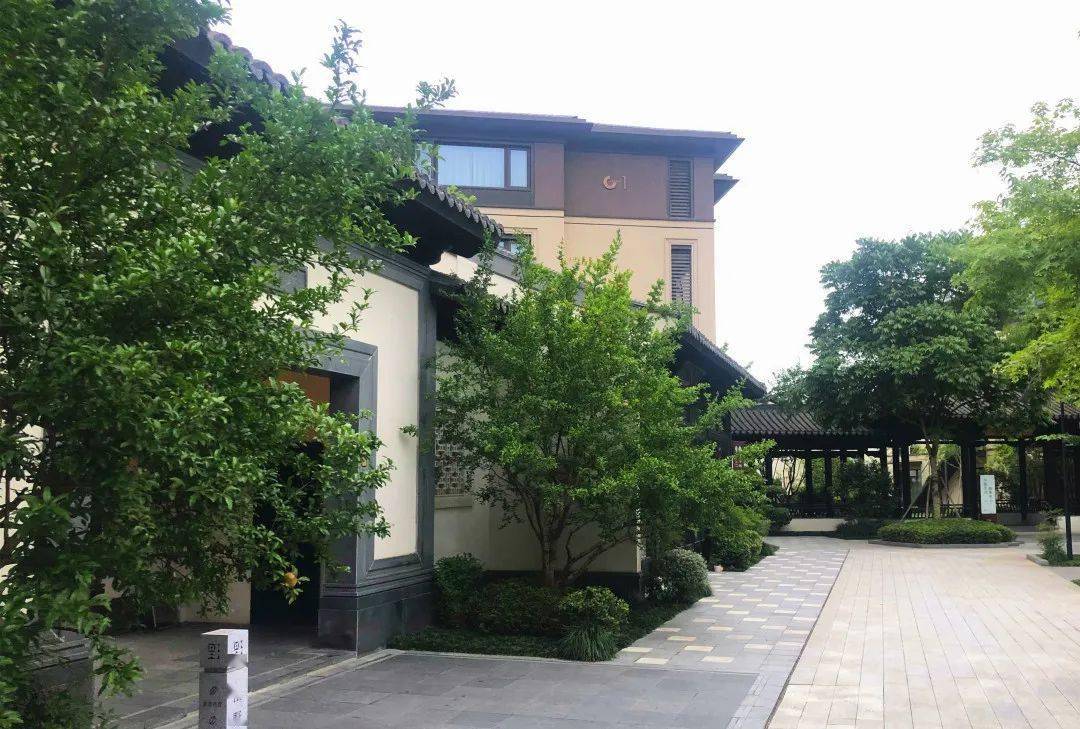 暖心上线，杭桃暖心窝颐养之家花落绿城·诚园-搜狐大视野-搜狐新闻