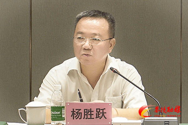 副市长杨胜跃讲话