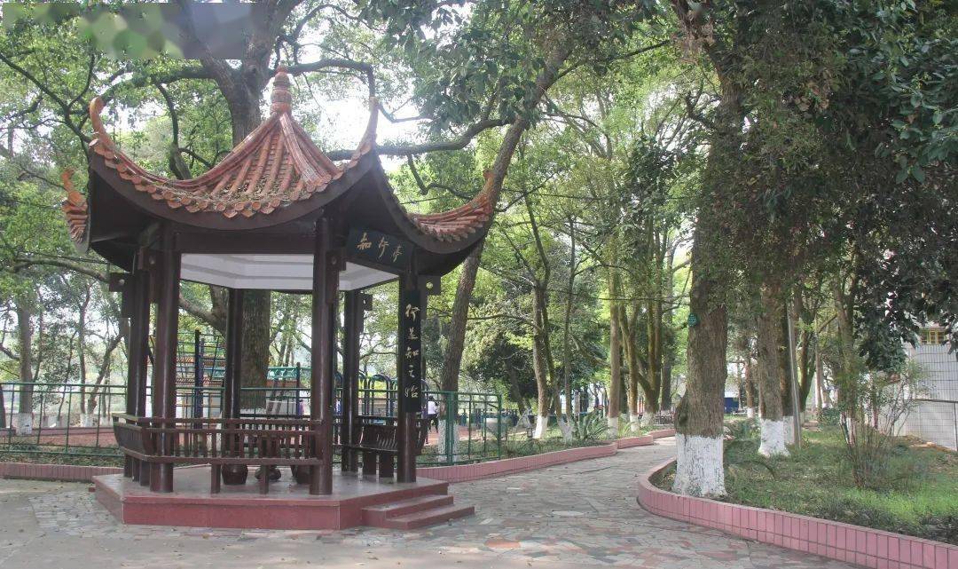 好学校之宁乡四中|让每个学生成为最好的自己