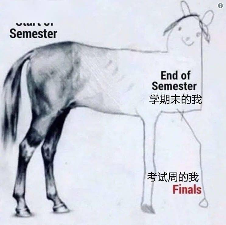 考试复习表情包