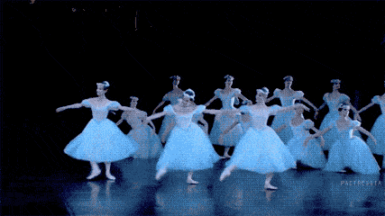 d541dc1af5e942d4afaf9f8094807b1a.gif