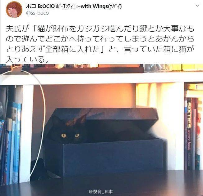 &|今日趣闻 竭尽全力给饲养员添堵的海狮 & 北海道特有的风景 等
