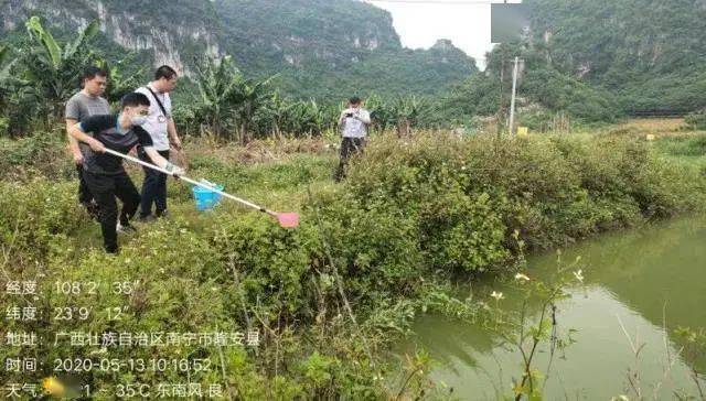 生态治理前后的视频 23c276ed36c5410faea4510935364354.jpeg