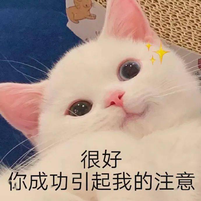 395bcd6a96fe4a8cbde196e2e66e0354.jpeg