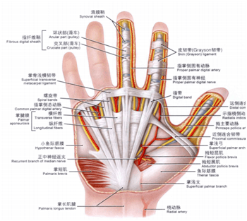 小孩手腕扭伤了怎么办