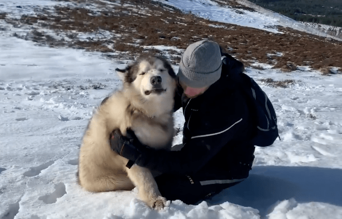 怎么带狗狗去雪山 6c553708740b45a5999d6e5c5e5c9487.png