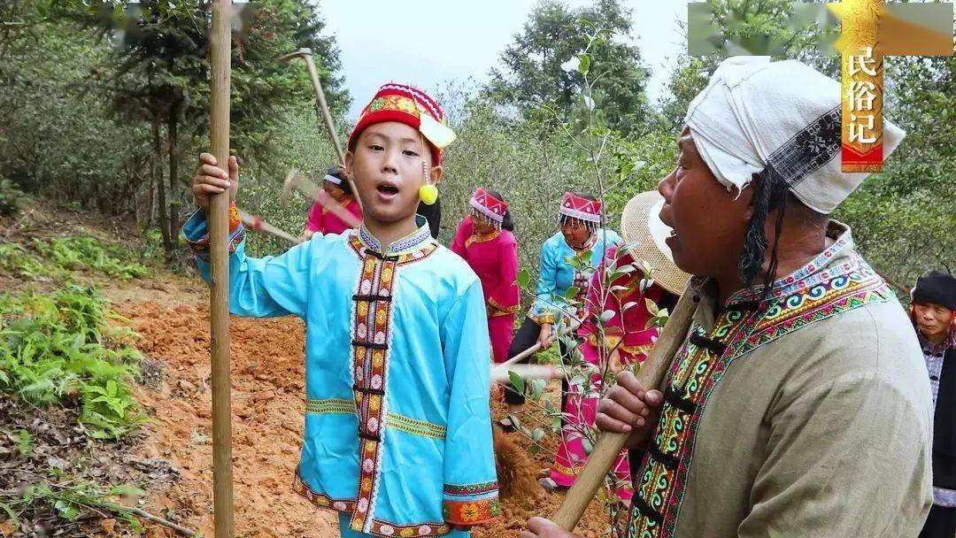 酉姓人口分布_人口普查(3)