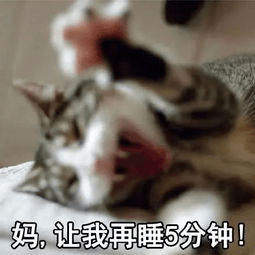 d16cf6f534fc43e7aa4a5ffd252907f9.png