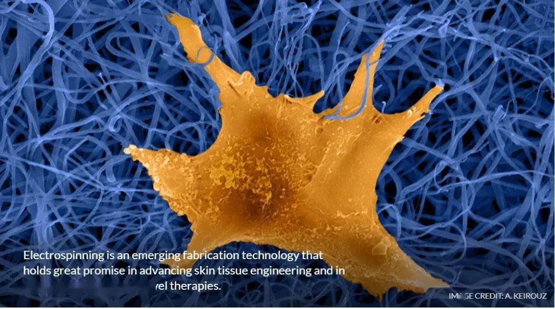生物激发纳米纤维如何实现皮肤再生并促进伤口愈合?