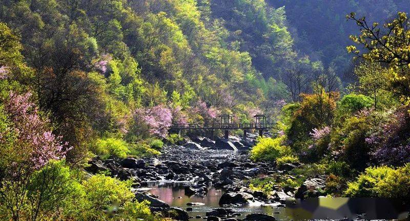 坝,花桥2个国家aaaa级旅游风景区以及白云山省级森林公园,龙王山地质