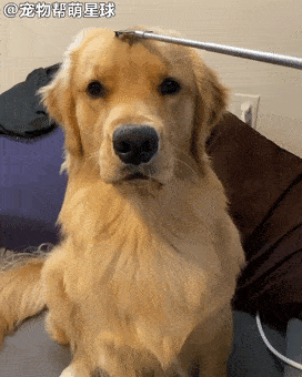 272_340竖版 竖屏gif 动态图 动图