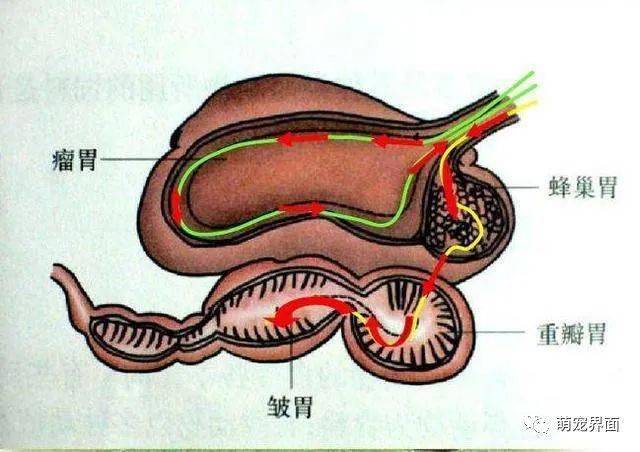 手机搜狐网