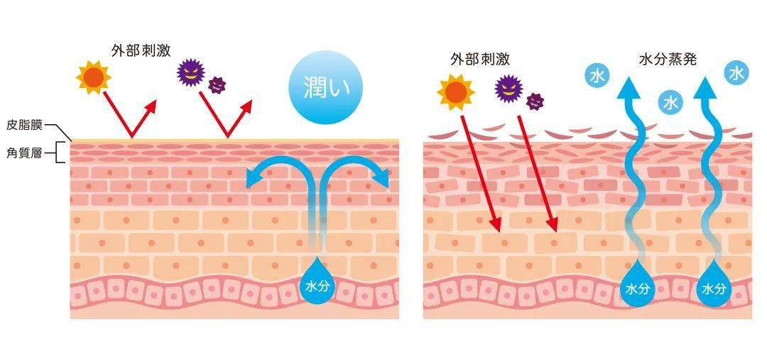 护肤保养舍得投资_保养皮肤的护肤品_如何护肤保养脸部肌肤